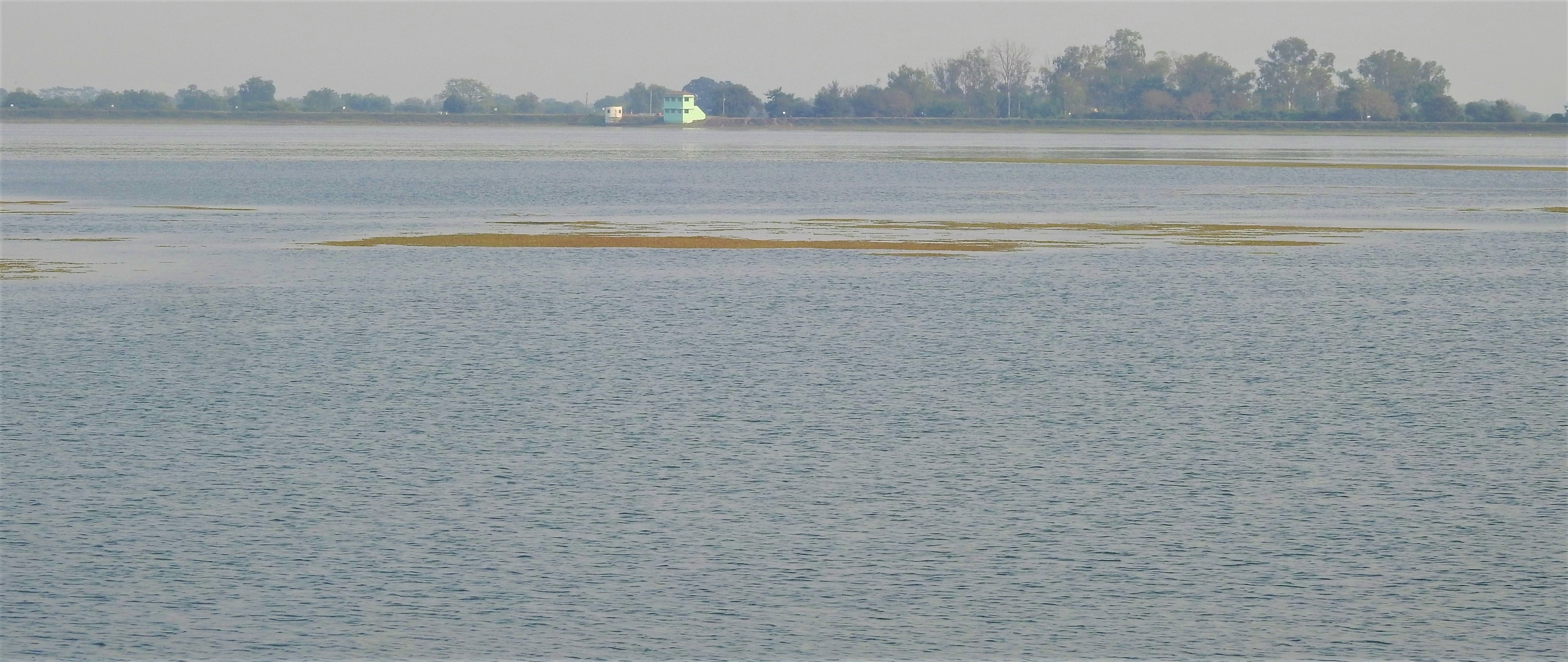 Open water habitat